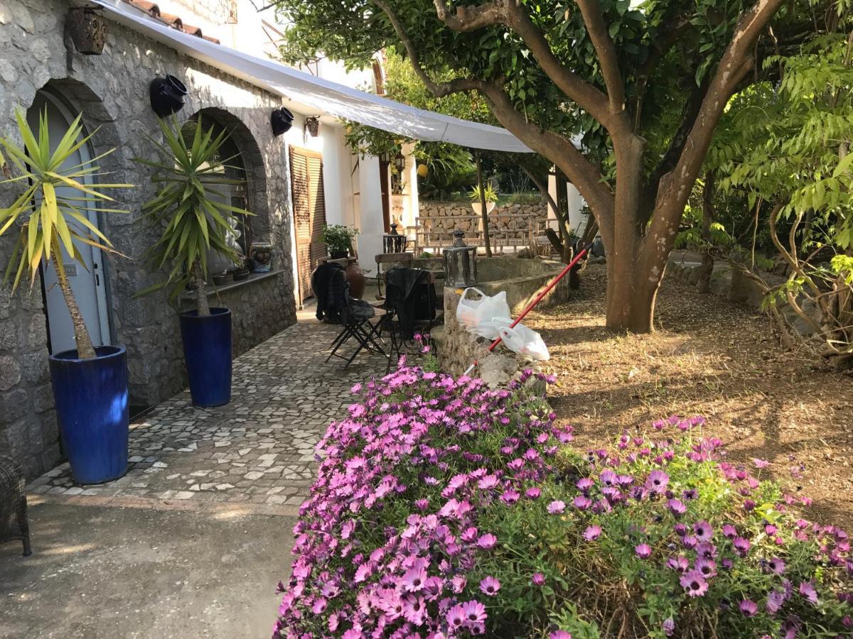 Casa Capri Sunset Villa Anacapri  Buitenkant foto